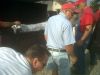 IMG00069-20100716-0913.jpg
