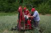 2007-06-29_Cubfest_Day_2_049.jpg