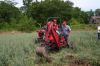 2007-06-29_Cubfest_Day_2_055.jpg