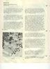 Filename=Page 12 (Small).jpg
Filesize=31KB
Dimensions=349x480
Date added=Sep 17, 2005 Page 12 (Small).jpg