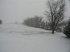 DSC00153~0.JPG
