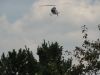 DSC00356.JPG