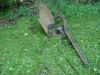 DSC01686.JPG