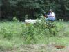 July_30_2009_cub_cutting_deer_plot_033_(Small).jpg