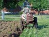 Filename=2014_BarnyardBash_027.jpg
Filesize=113KB
Dimensions=460x345
Date added=Jun 01, 2014 2014_BarnyardBash_027.jpg