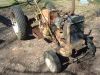 cub_006.JPG