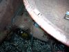 DSC00003~22.jpg