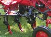 Filename=Red & Black Cub 2.jpg
Filesize=103KB
Dimensions=475x356
Date added=Sep 27, 2005 Red & Black Cub 2.jpg