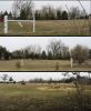 FEILD1.JPG