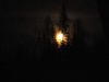 Filename=IMG1135.JPG
Filesize=46KB
Dimensions=800x600
Date added=Mar 26, 2010 IMG1135.JPG