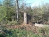 05-01-08_Oak_tree___patio_001.jpg