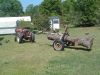 05-01-08_Oak_tree___patio_059.jpg