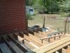 2010__Deck_and_Treees_(4-30)_101.jpg