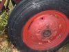 2010__Deck_and_Treees_(4-30)_116.jpg