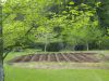 20060430_0104_1.jpg