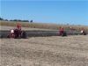Bunch_Plowing.jpg