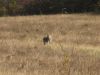 IMG_0353_(Medium)~0.JPG