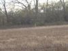 IMG_0365_(Medium)~0.JPG
