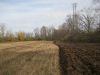 IMG_0366_(Medium)~0.JPG