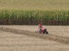 IMG_0766_(Medium)~0.JPG
