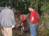 Farmall_M_discussing_(Small).jpg