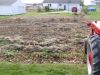 glenns_garden_2.JPG