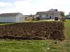 glenns_garden_3.JPG