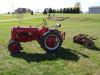 glenns_garden_4.JPG