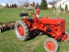 glenns_garden_5.JPG