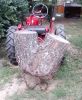 stump1.jpg
