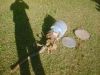 planter 002.jpg
