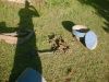 planter 008.jpg