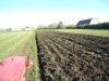 DSC03703A.JPG