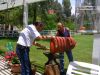 Tractor - June 2006 042.jpg