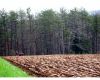 plowing_006.jpg