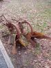 plow3.JPG