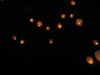 8~3.jpg