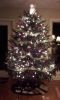 Christmas2010-1.jpg