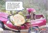 treedown2.jpg