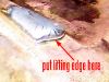 Filename=cold_joint.jpg
Filesize=61KB
Dimensions=296x222
Date added=Aug 27, 2007 cold_joint.jpg