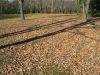 110_1047.JPG