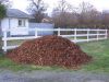 08_leaf_pile_001_(Small).jpg