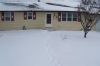 snow1.jpg