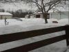 Back_Yard_(Small).jpg