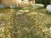 HPIM2498_(Small).JPG