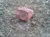 Mineral_Block_2013_(Small).jpg
