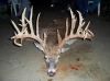 Non_Typical_Buchanan_Buck.jpg