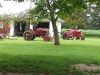 cubs_in_yard_(Small).jpg