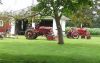 cubs_in_yard_edited_(Small).jpg