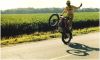 wheelie1_(Small).jpg